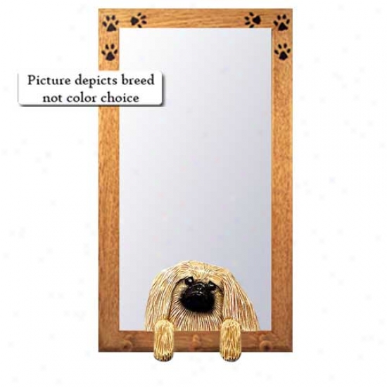 Red Pekingese Hall Mirror With Basswood Walnut Frame