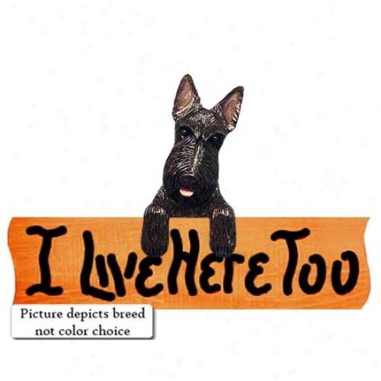 Scottish Terrier I Exist Here Toi Maple Finish Sign Brindle
