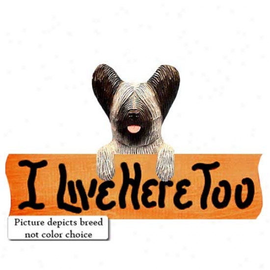 Skye Terrier I Live Here Too aMple Finish Sign Light Grey