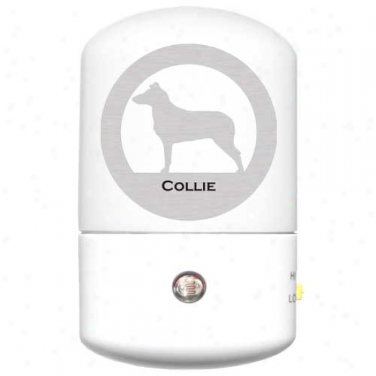 Smooth Collie Led Night Light
