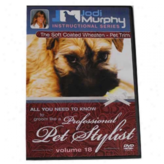 Soft Coated Wheaten Terier Pet Trimgrooming Dvd By Jodi Murphy