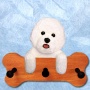 Bichon Frise Bone Hang Up Maple Finish