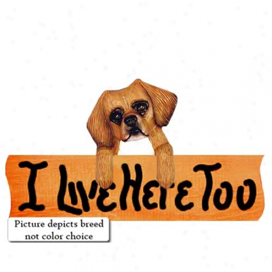 Tibetan Spaniel I Live Here Too Maple Finish Sign Red