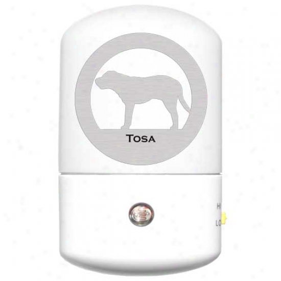Tosa Led Night Light