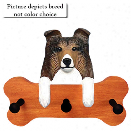 Tri Shetland Sheepdog Bone Hang Up Maple Finish