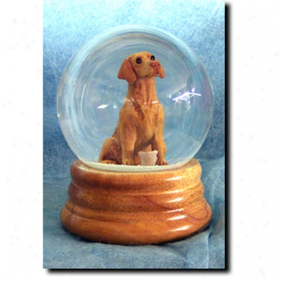 Vizsla Musical Snow Globe