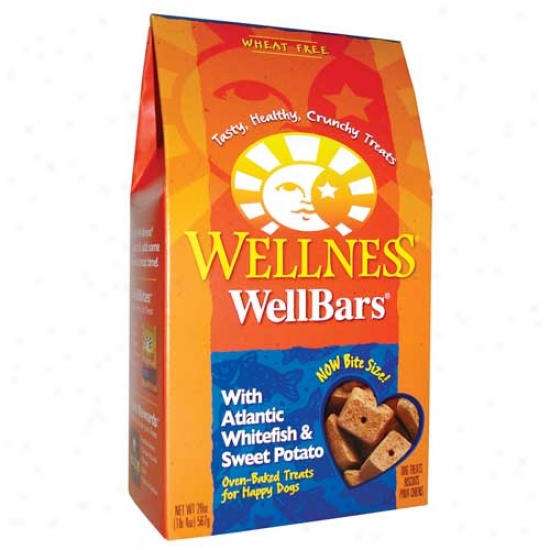 Wellbars Fish And Sweet Potato Treats 20oz
