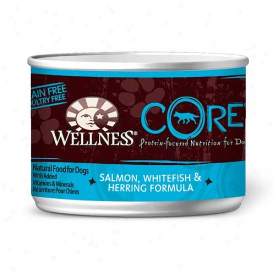 Wellness Cor Salmon, Whitefish And Herring Recipe 6oz Case Of 24 Cans
