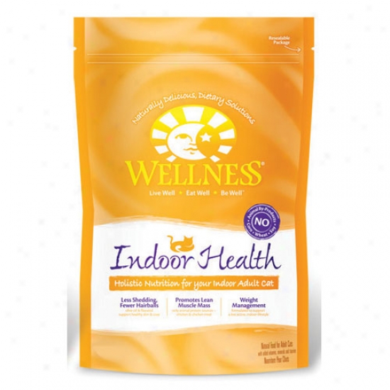 Wellness nIdoor Soundness Recipe 12lbs