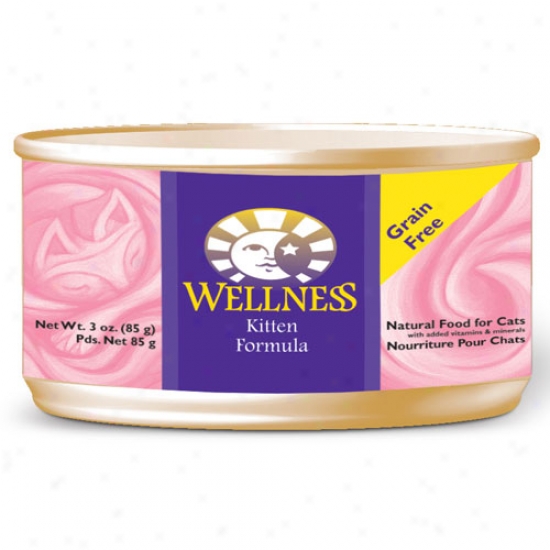 Wellness Kitten Recipe 3oz Case Of 24 Cans