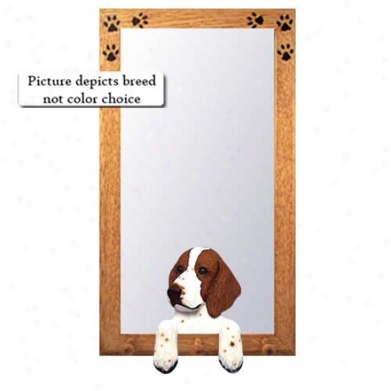 Welsh Springer Spaniel Hall Mirror With Basswood Pine Form