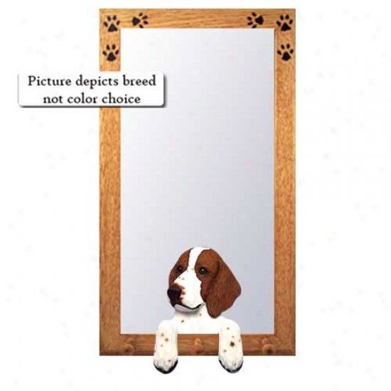 Welsh Springer Spaniel Hall Mirror With Oak Golden Frame