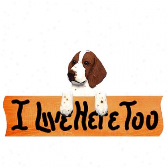 Welsh Springer Spaniel I Live Here Too Maple Fonish Sign