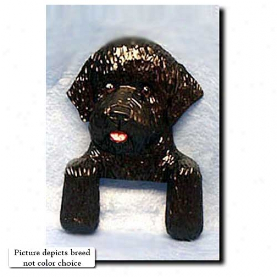 White Portuguese Sprinkle and calender  Dog Door Topper