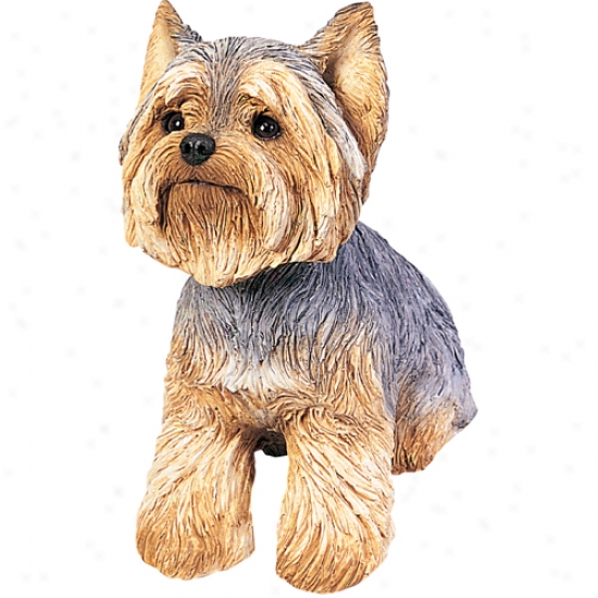 Yorkshire Terrier (puppy Clip) Original Size Sandicast Sculpture