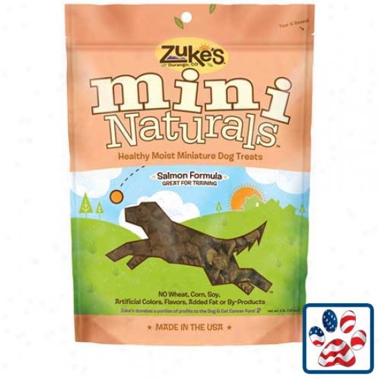 Zukes Mini Naturals Dog Treats Salmon 1lb